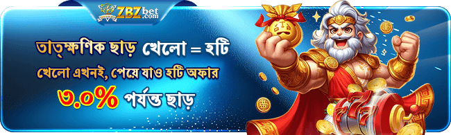 User-friendly interface of ZBZBET